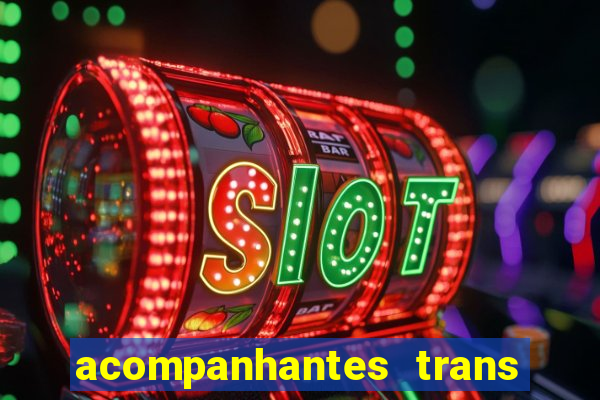 acompanhantes trans baixada fluminense